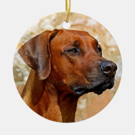 Ridgeback Keramisch Ornament (Voorkant)