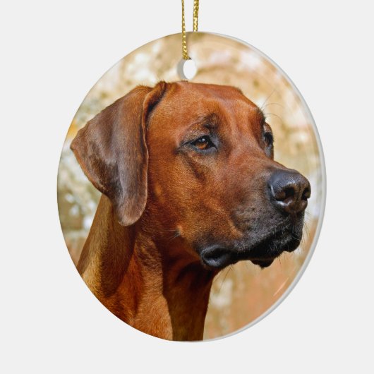 Ridgeback Keramisch Ornament (Links)