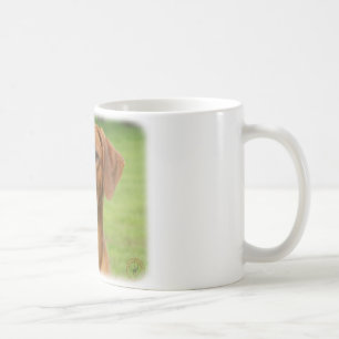 Ridgeback Koffiemok