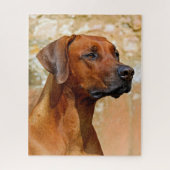 Ridgeback Legpuzzel (Verticaal)