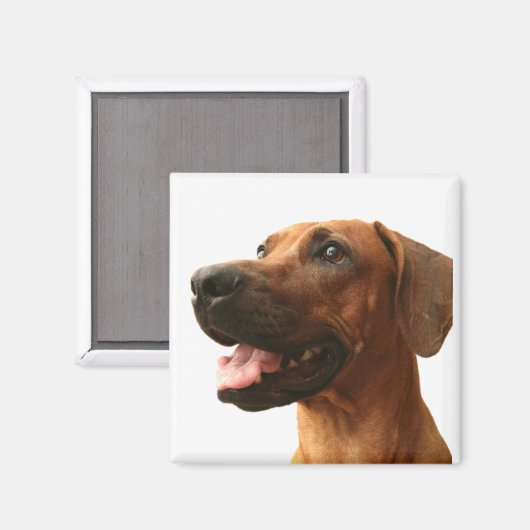 Ridgeback Magneet (Voorkant / Achterkant)