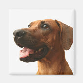 Ridgeback Magneet (Voorkant)