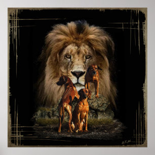 Ridgeback met Lion Poster