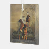 Ridgeback met Rhodezisch Ridgeback met Lion Glas Ornament (Voorkant links)