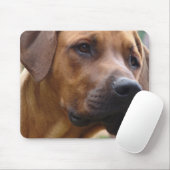 Ridgeback-Muismat Rhodezische Ridgeback Muismat (Met muis)