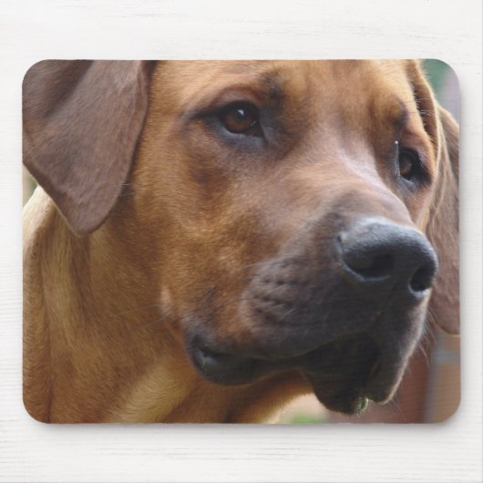 Ridgeback-Muismat Rhodezische Ridgeback Muismat (Voorkant)