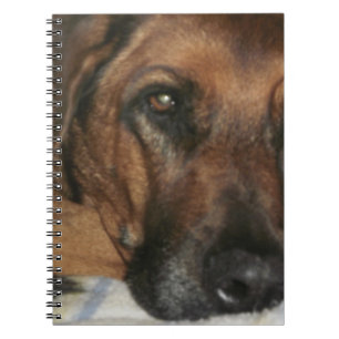 Ridgeback Notitieboek