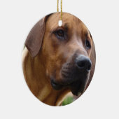 Ridgeback Ornament (Rechts)