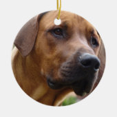 Ridgeback Ornament (Voorkant)