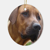 Ridgeback Ornament (Links)