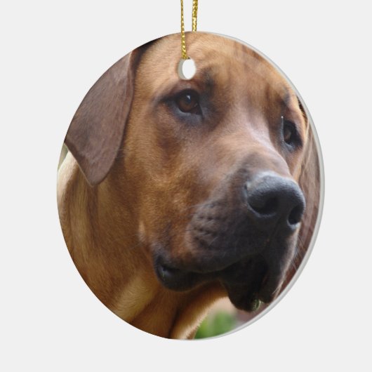 Ridgeback Ornament (Links)