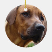 Ridgeback Ornament (Achterkant)