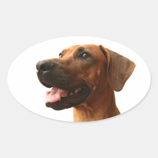 Ridgeback Ovale Sticker (Voorkant)