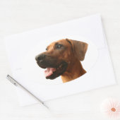Ridgeback Ovale Sticker (Envelop)
