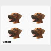 Ridgeback Ovale Sticker (Vel)