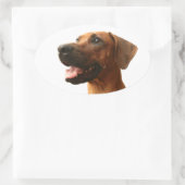 Ridgeback Ovale Sticker (Tas)