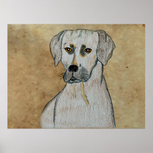 Ridgeback Poster