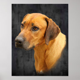 Ridgeback Poster