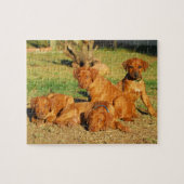 Ridgeback-puppies Rhodezische puzzel (Horizontaal)