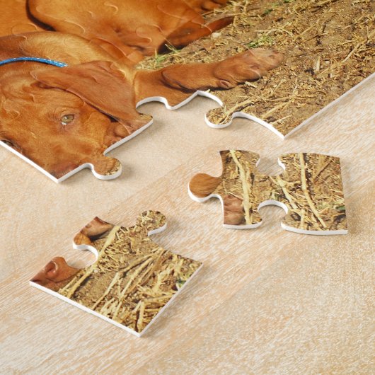 Ridgeback-puppies Rhodezische puzzel Legpuzzel (Zijkant)