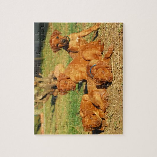 Ridgeback-puppies Rhodezische puzzel Legpuzzel (Verticaal)