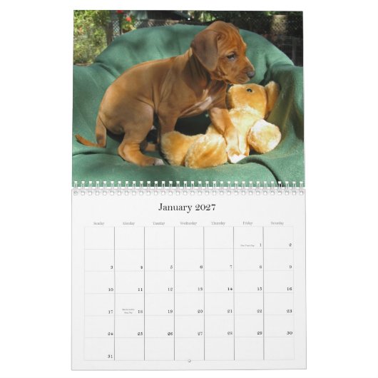 Ridgeback-Puppies Rhodezische Ridgeback 2012 Kalender (Jan 2027)