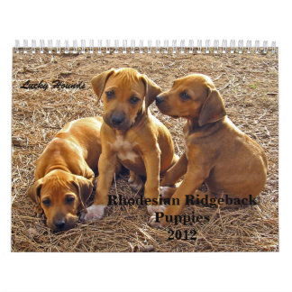 Ridgeback-Puppies Rhodezische Ridgeback 2012 Kalender