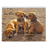 Ridgeback-Puppies Rhodezische Ridgeback 2013 Kalender (Hoes)