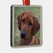 Ridgeback Puppy Metalen Ornament (Rechts)