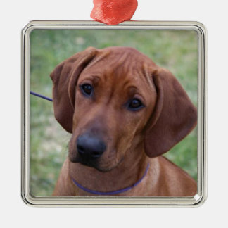 Ridgeback Puppy Metalen Ornament