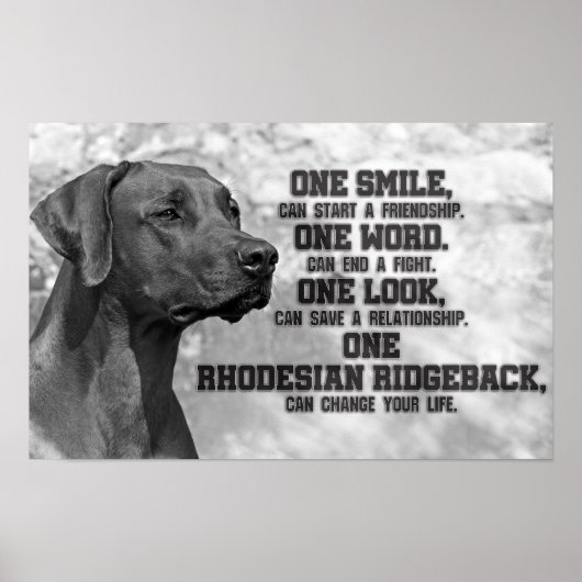 Ridgeback Rhodesian Quottes Poster (Voorkant)