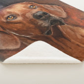 Ridgeback Rhodezisch Portret Sherpa Deken (3/4)