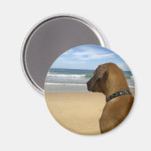Ridgeback Rhodezische producten Magneet (Voorkant / Achterkant)