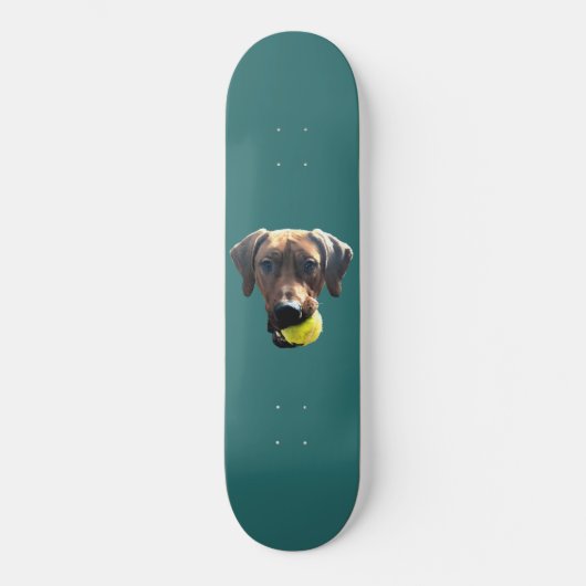 Ridgeback Skateboard voor Rhodezische Ridgeback (Voorkant)