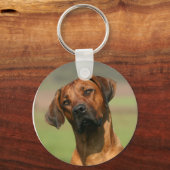 Ridgeback Sleutelhanger Rhodesian (Voorkant)