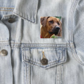 Ridgeback Square Pin Rhodesiaans Vierkante Button 5,1 Cm (In situ)