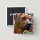 Ridgeback Square Pin Rhodesiaans Vierkante Button 5,1 Cm (Voorkant /achterkant)