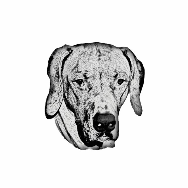 Ridgeback Staand Fotobeeldje (Voorkant)