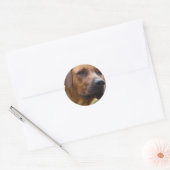 Ridgeback-Stickers in Rhodezische Ridgeback Ronde Sticker (Envelop)