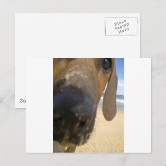 Ridgeback Stuff Briefkaart (Voorkant / Achterkant)