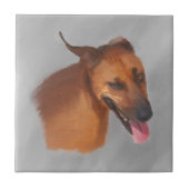 Ridgeback Tegeltje (Voorkant)