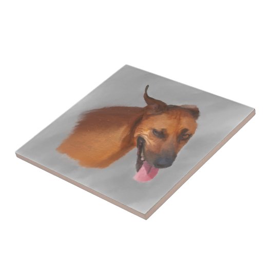 Ridgeback Tegeltje (Zijkant)
