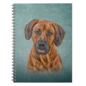 Ridgeback tekenen notitieboek (Voorkant)
