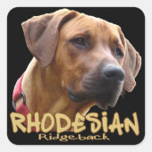 Ridgeback Vierkante Sticker (Voorkant)