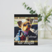 Riding Shotgun Yorkie Personalize Briefkaart (Staand voorkant)