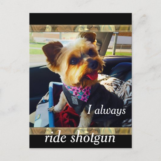 Riding Shotgun Yorkie Personalize Briefkaart (Voorkant)