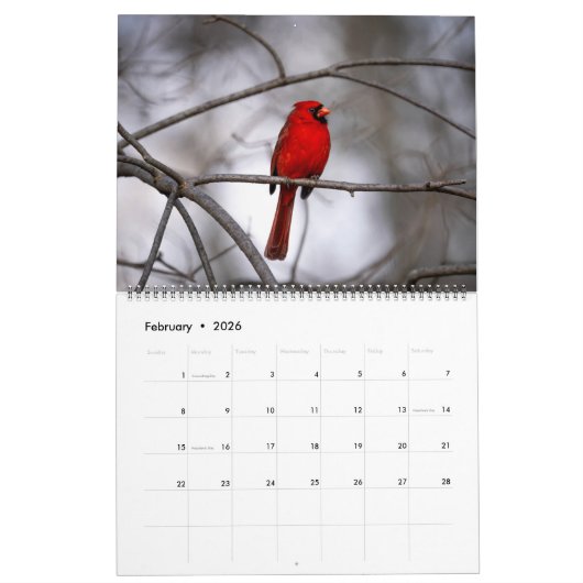 Ridley's Reflections 2026 Calendar Kalender (Feb 2026)