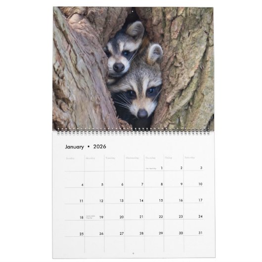 Ridley's Reflections 2026 Calendar Kalender (Jan 2026)