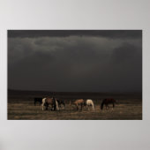 Riemen van het Storm Poster (Voorkant)