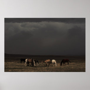 Riemen van het Storm Poster